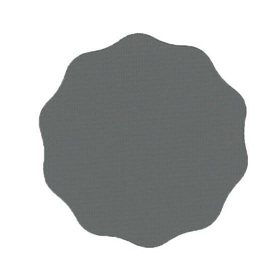 SPDM 2500 - Schleifblüten PVC-Träger Ø35mm P2500 100st.