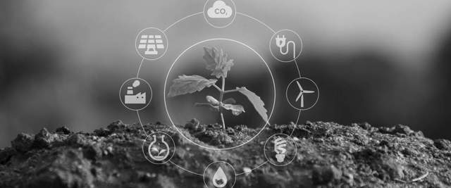 EMM International BV behaalt met trots het ISO-14001-certificaat