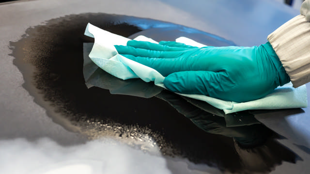 SOF 20 - Chiffons de dégraissage turquoises 42 x 30cm  200p.