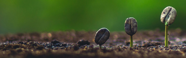 Altre iniziative di Eco-collaborazione